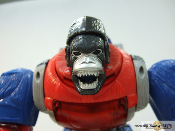 Year Of The Monkey Optimus Primal Out Of Box Show Platinum Edition Compared With Original  (34 of 50)